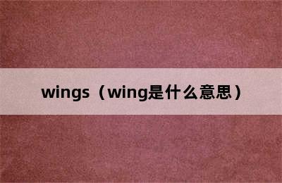 wings（wing是什么意思）