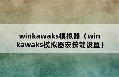 winkawaks模拟器（winkawaks模拟器宏按键设置）