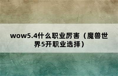 wow5.4什么职业厉害（魔兽世界5开职业选择）