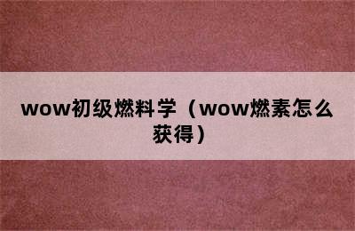 wow初级燃料学（wow燃素怎么获得）