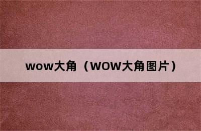 wow大角（WOW大角图片）