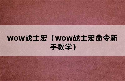 wow战士宏（wow战士宏命令新手教学）