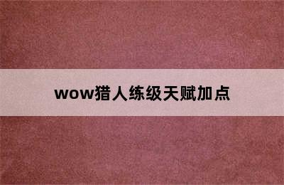 wow猎人练级天赋加点