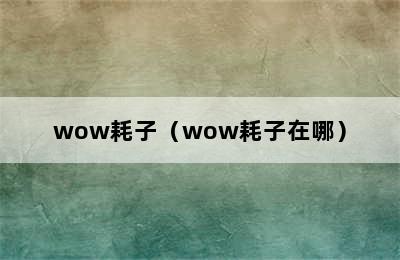 wow耗子（wow耗子在哪）