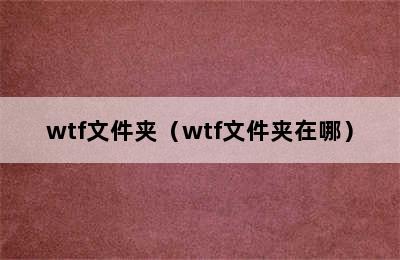 wtf文件夹（wtf文件夹在哪）