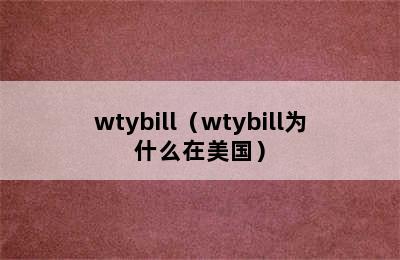 wtybill（wtybill为什么在美国）