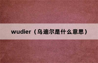 wudier（乌迪尔是什么意思）