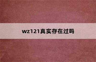 wz121真实存在过吗