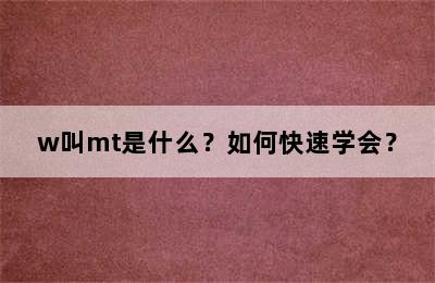 w叫mt是什么？如何快速学会？