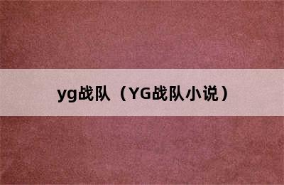 yg战队（YG战队小说）