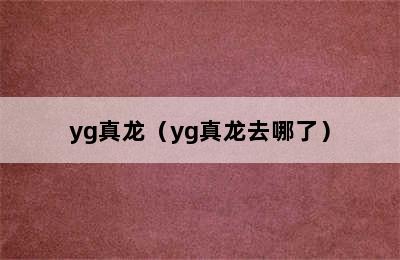 yg真龙（yg真龙去哪了）