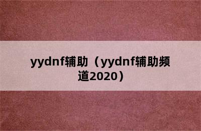 yydnf辅助（yydnf辅助频道2020）