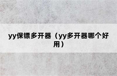 yy保镖多开器（yy多开器哪个好用）