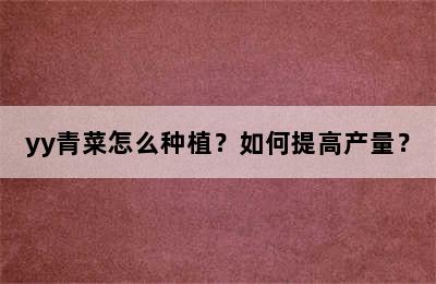 yy青菜怎么种植？如何提高产量？