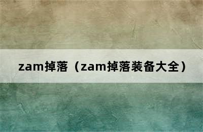 zam掉落（zam掉落装备大全）