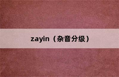 zayin（杂音分级）