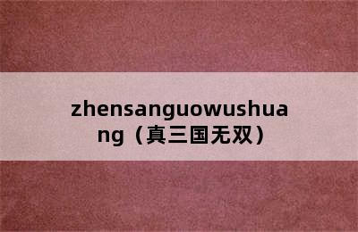 zhensanguowushuang（真三国无双）