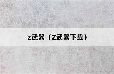 z武器（Z武器下载）