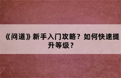 《问道》新手入门攻略？如何快速提升等级？