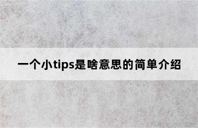 一个小tips是啥意思的简单介绍