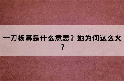 一刀杨幂是什么意思？她为何这么火？