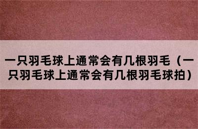 一只羽毛球上通常会有几根羽毛（一只羽毛球上通常会有几根羽毛球拍）