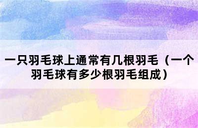 一只羽毛球上通常有几根羽毛（一个羽毛球有多少根羽毛组成）