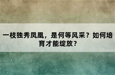 一枝独秀凤凰，是何等风采？如何培育才能绽放？