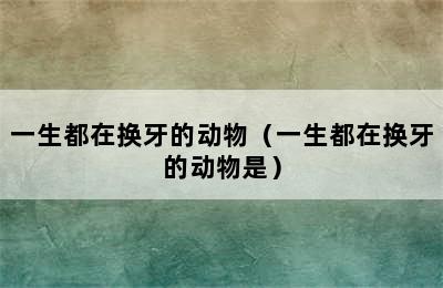 一生都在换牙的动物（一生都在换牙的动物是）