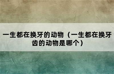 一生都在换牙的动物（一生都在换牙齿的动物是哪个）