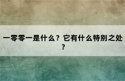 一零零一是什么？它有什么特别之处？