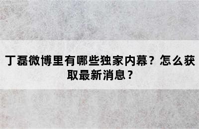 丁磊微博里有哪些独家内幕？怎么获取最新消息？