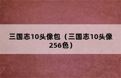 三国志10头像包（三国志10头像256色）