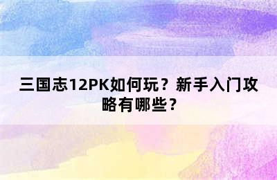 三国志12PK如何玩？新手入门攻略有哪些？