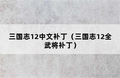 三国志12中文补丁（三国志12全武将补丁）