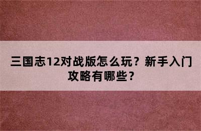 三国志12对战版怎么玩？新手入门攻略有哪些？