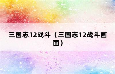 三国志12战斗（三国志12战斗画面）