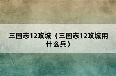 三国志12攻城（三国志12攻城用什么兵）