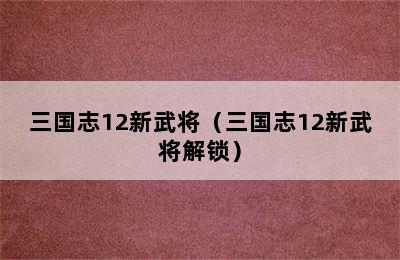 三国志12新武将（三国志12新武将解锁）