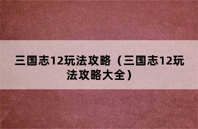 三国志12玩法攻略（三国志12玩法攻略大全）