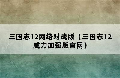 三国志12网络对战版（三国志12威力加强版官网）