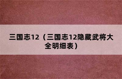 三国志12（三国志12隐藏武将大全明细表）