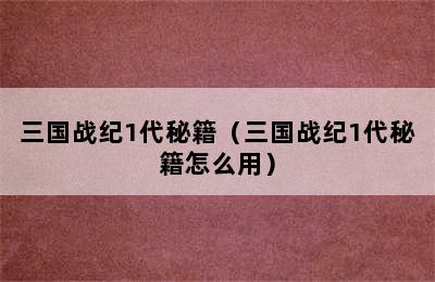 三国战纪1代秘籍（三国战纪1代秘籍怎么用）