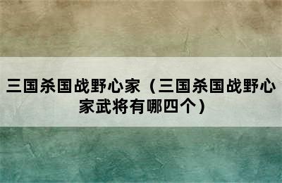 三国杀国战野心家（三国杀国战野心家武将有哪四个）