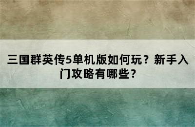 三国群英传5单机版如何玩？新手入门攻略有哪些？