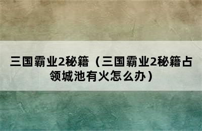 三国霸业2秘籍（三国霸业2秘籍占领城池有火怎么办）