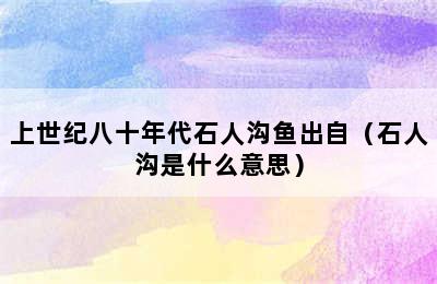 上世纪八十年代石人沟鱼出自（石人沟是什么意思）