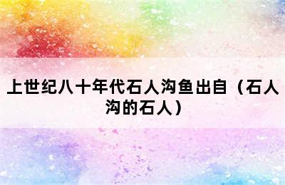 上世纪八十年代石人沟鱼出自（石人沟的石人）