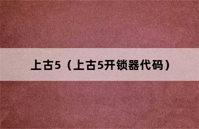 上古5（上古5开锁器代码）