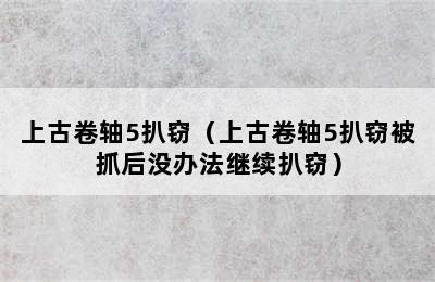 上古卷轴5扒窃（上古卷轴5扒窃被抓后没办法继续扒窃）